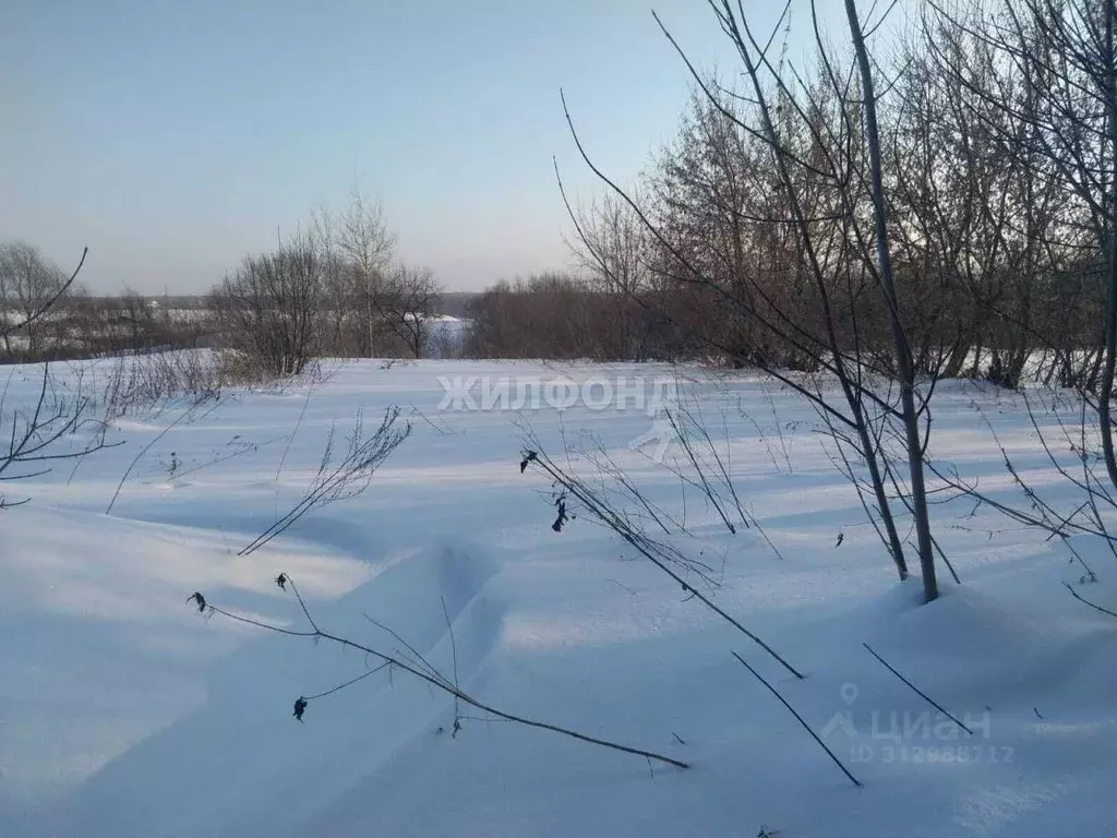 Участок в Новосибирская область, Мошковский район, с. Сокур Рабочая ... - Фото 0