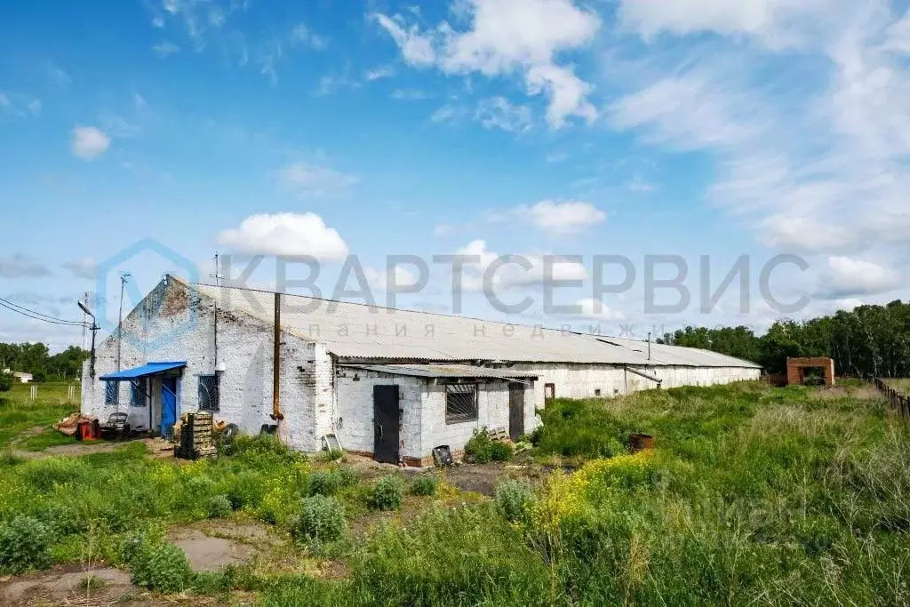 Производственное помещение в Омская область, Омский район, с. Калинино ... - Фото 0