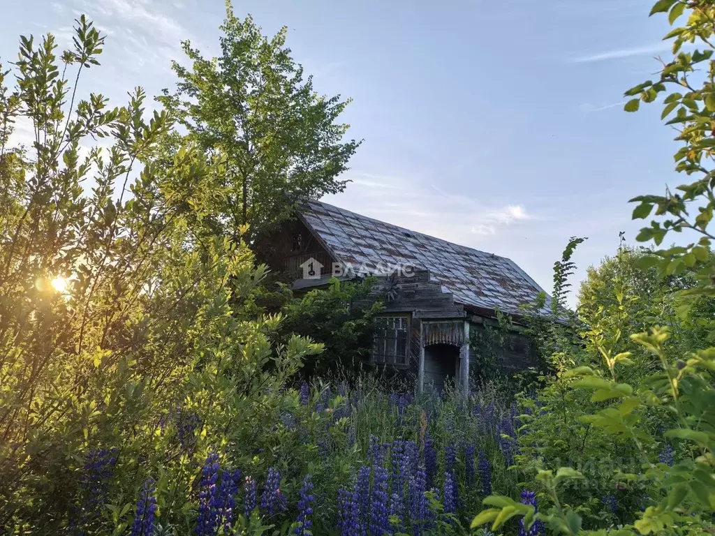 Дом в Владимирская область, Селивановский муниципальный округ, пос. ... - Фото 2