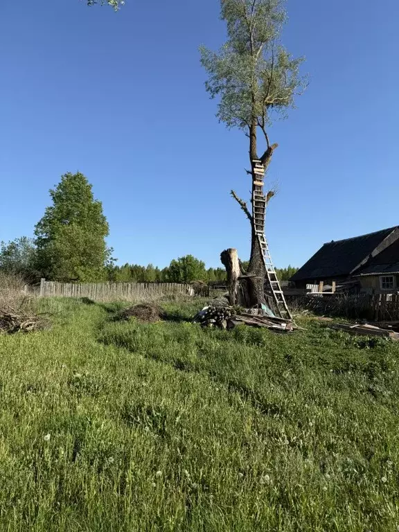 Участок в Нижегородская область, Дивеевский муниципальный округ, с. ... - Фото 1