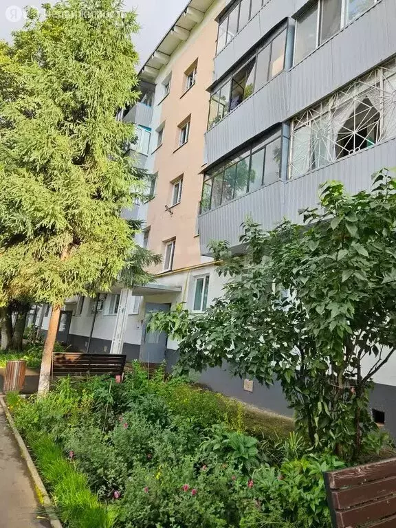 1-комнатная квартира: Альметьевск, улица Мира, 3 (30.1 м) - Фото 1