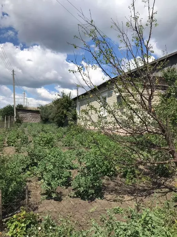 Дом 78,4 м на участке 15 сот. - Фото 1