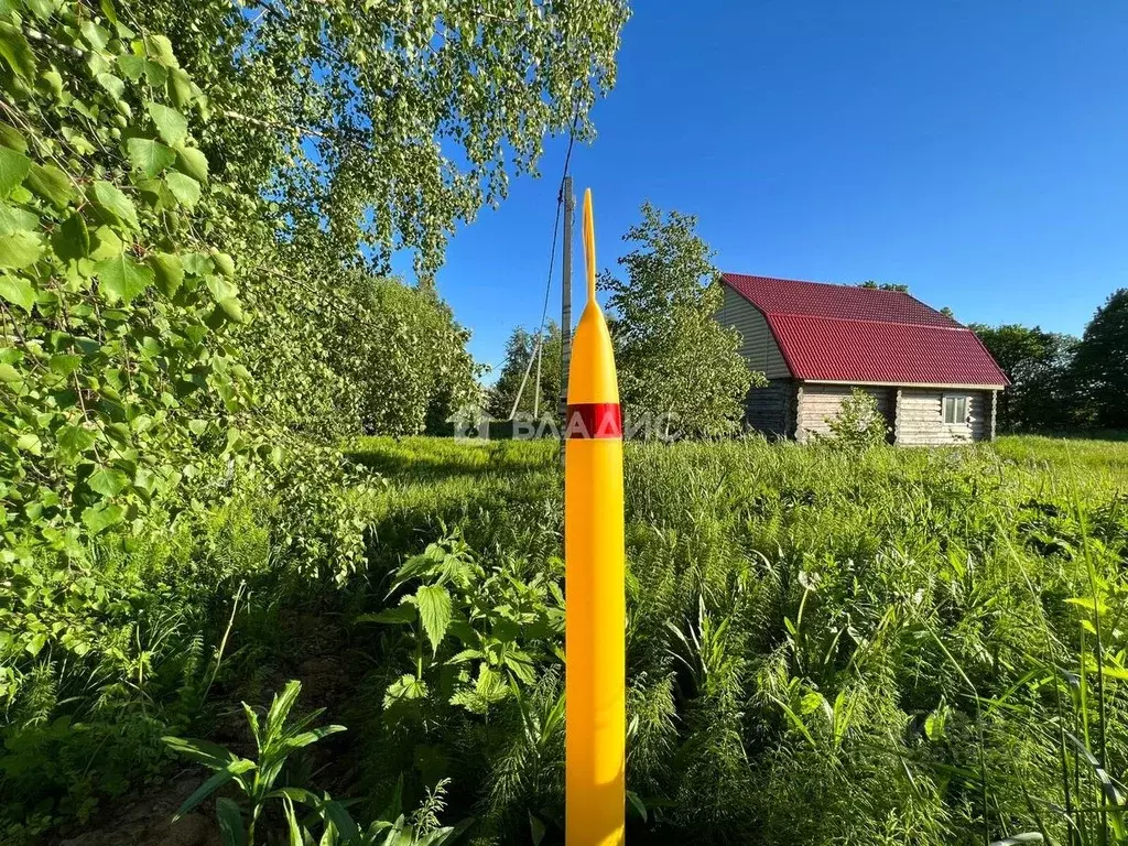 Дом в Владимирская область, Владимир с. Мосино,  (160 м) - Фото 1