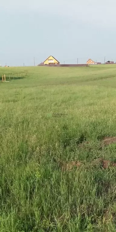 Участок в Иркутская область, Иркутский муниципальный округ, с. Урик ... - Фото 0