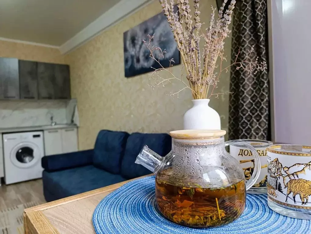 Студия Ставропольский край, Пятигорск ул. Орджоникидзе, 11К1 (20.0 м) - Фото 2