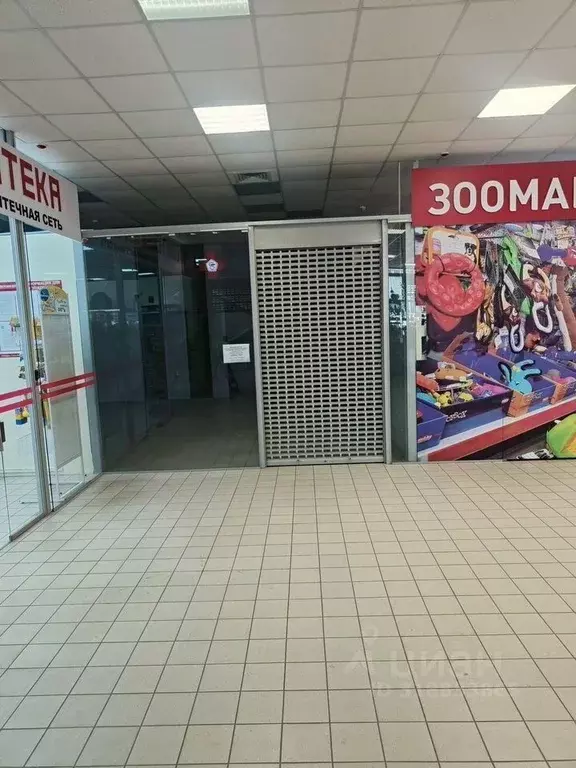 Торговая площадь в Томская область, Томск ул. Льва Толстого, 38/5 (61 ... - Фото 1