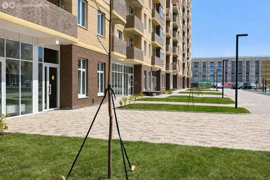 Помещение свободного назначения (29.5 м) - Фото 2