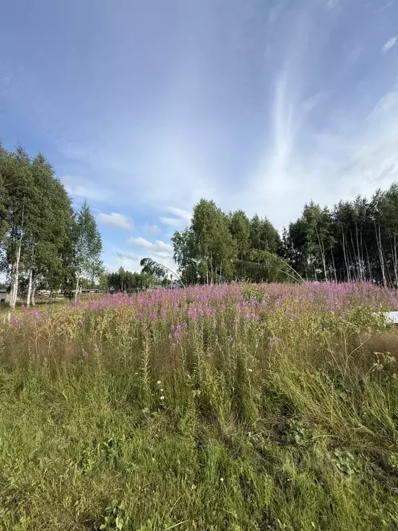 Участок в Московская область, Солнечногорск городской округ, СНТСН ... - Фото 1