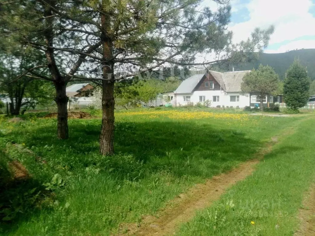 Дом в Алтай, Майминский район, с. Соузга Центральная ул. (59 м) - Фото 1