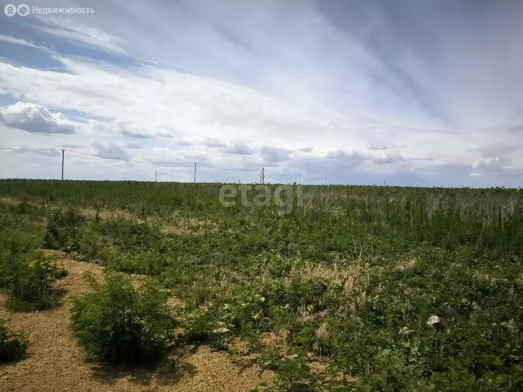 Участок в Мясниковский район, село Большие Салы (3.4 м) - Фото 0