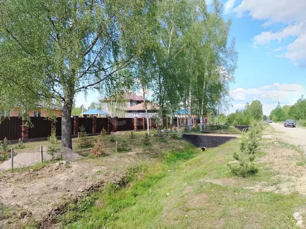 Участок в Ярославская область, Некрасовский муниципальный округ, с. ... - Фото 2