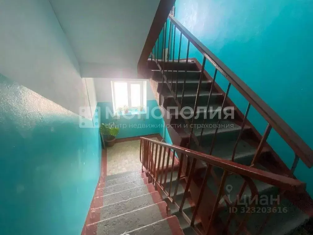 3-к кв. Амурская область, Белогорск ул. Кирова, 53А (60.0 м) - Фото 2