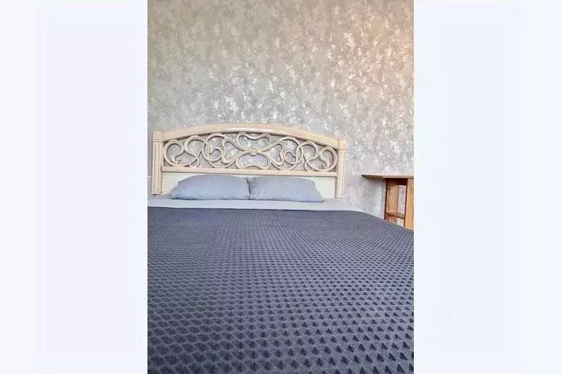1-к кв. Амурская область, Благовещенск ул. Калинина, 142 (45.0 м) - Фото 0