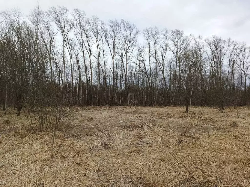 Продается участок в с. Степановское - Фото 1