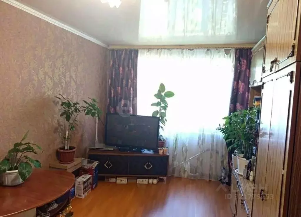 Комната Белгородская область, Губкин ул. Фрунзе, 12Б (36.0 м) - Фото 0