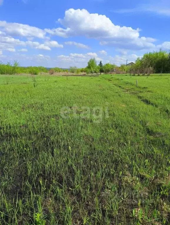 Участок в Воронежская область, Рамонский район, Русскогвоздевское ... - Фото 0