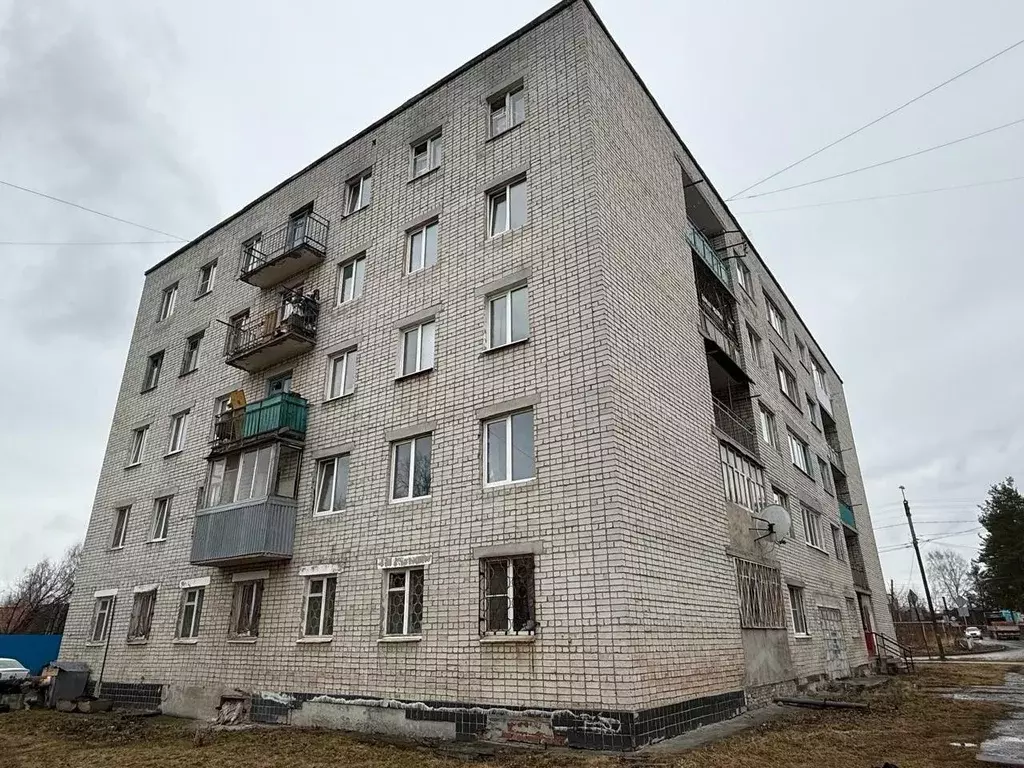 4-к кв. Свердловская область, Березовский ул. Транспортников, 42 (92.4 ... - Фото 0