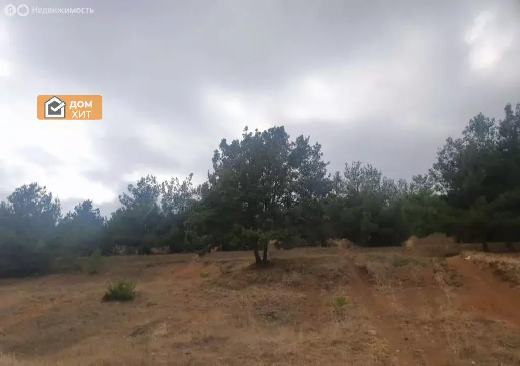 Участок в Севастополь, садоводческое товарищество Черноморец-2 (8.36 ... - Фото 0