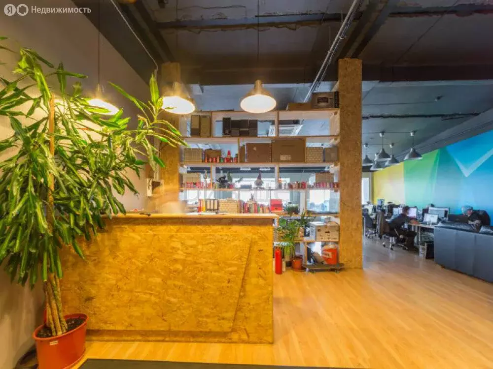 Офис (224.7 м) - Фото 2