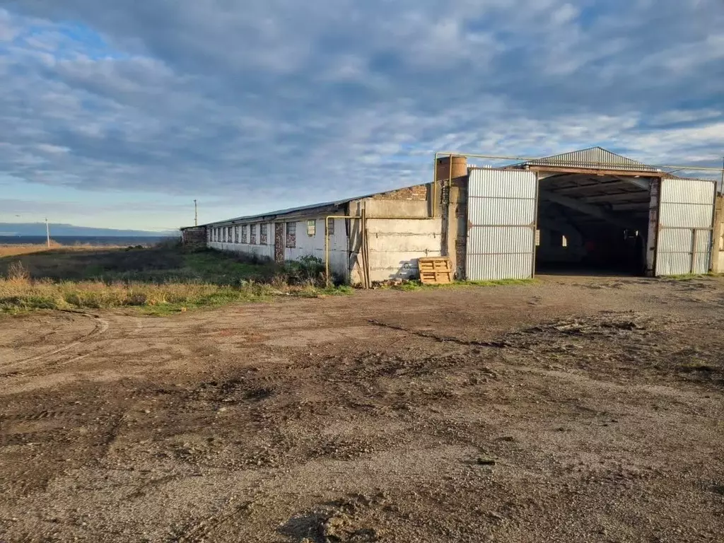Помещение свободного назначения в Краснодарский край, Новокубанский ... - Фото 2