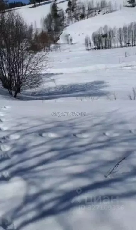 Участок в Алтай, Чойский район, с. Сейка ул. Гагарина (18.1 сот.) - Фото 2