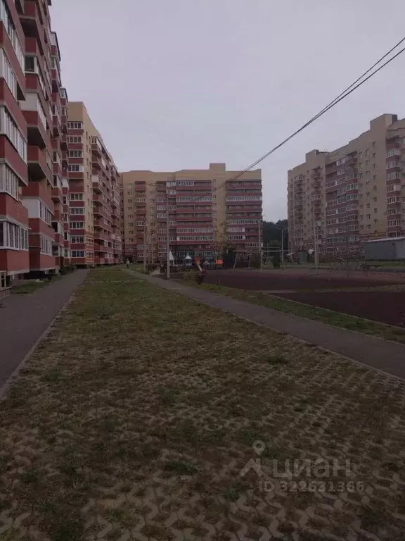 1-к кв. Ярославская область, Ярославский муниципальный округ, пос. ... - Фото 2