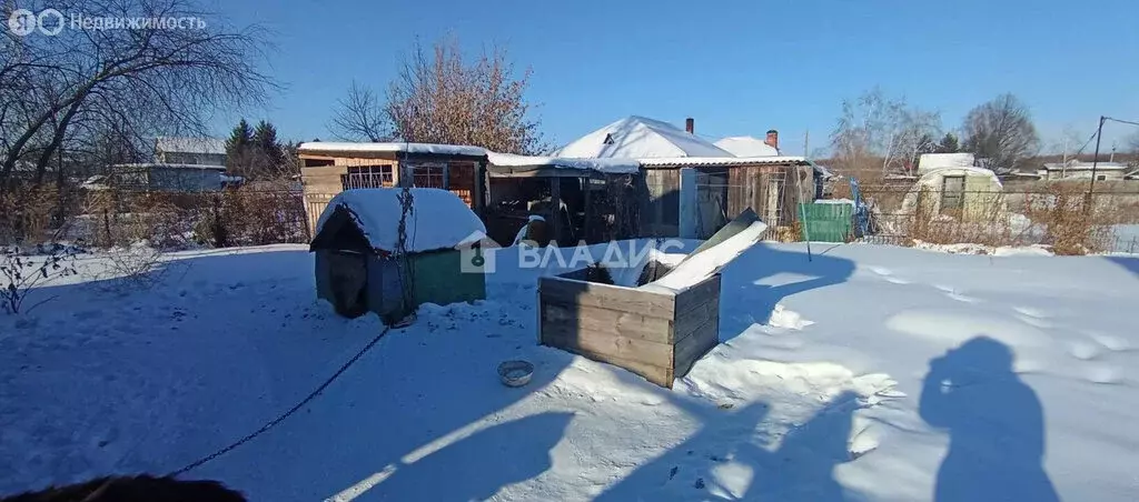Участок в Амурская область, Благовещенский муниципальный округ, село ... - Фото 2