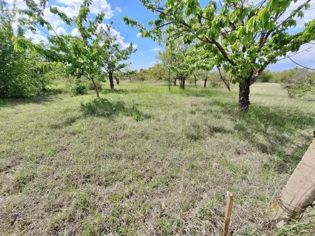 Участок в Крым, Симферопольский район, Трудовское с/пос, Жаворонок СПК ... - Фото 1
