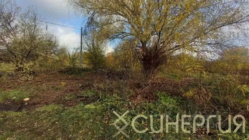 Дом в Ростовская область, Азовский район, Елизаветинское с/пос, Коса ... - Фото 2