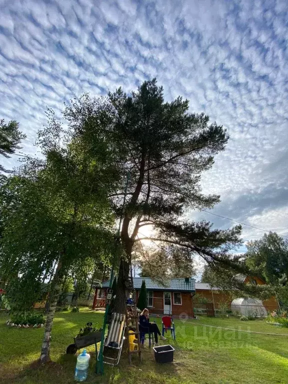 Дом в Новгородская область, Чудовский район, Грузинское с/пос, д. ... - Фото 1