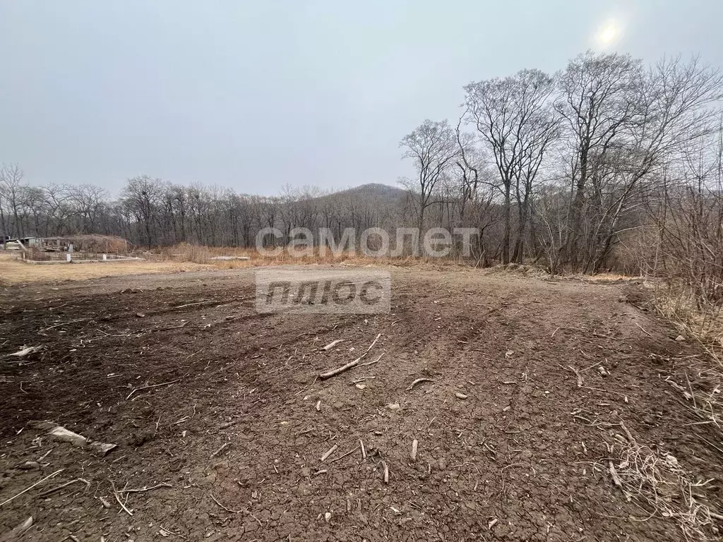 Участок в Приморский край, Фокино ул. Теплый стан (10.0 сот.) - Фото 1