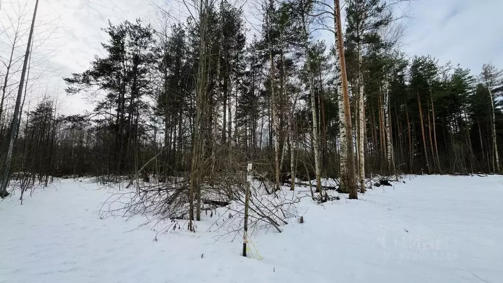 Участок в Ленинградская область, Шлиссельбург Кировский район, пер. ... - Фото 1