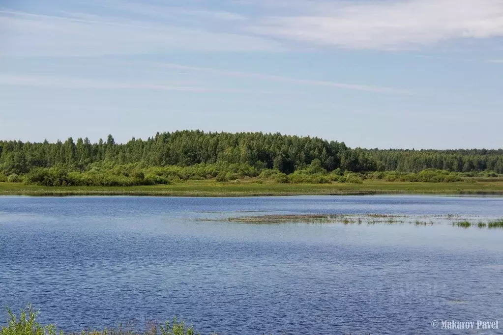 Участок в Тверская область, Оленинский район, д. Береза  (1.91 сот.) - Фото 0