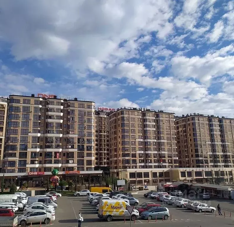 Студия Краснодарский край, Сочи Донская ул., 108А (28.0 м) - Фото 1