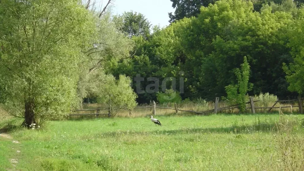 Дом в Брянская область, Суражский район, Дегтяревское с/пос, д. ... - Фото 1