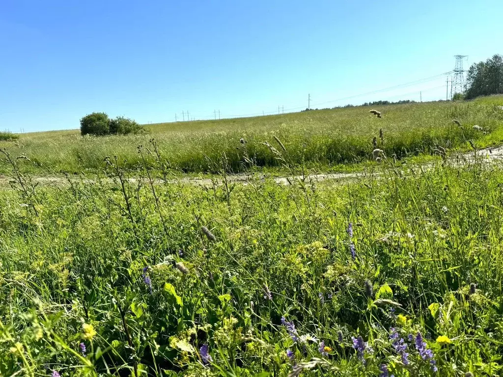 Участок в Ленинградская область, Ломоносовский район, Ропшинское ... - Фото 2