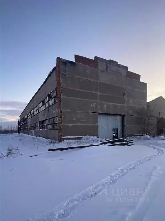 Производственное помещение в Омская область, Омский район, с. ... - Фото 1