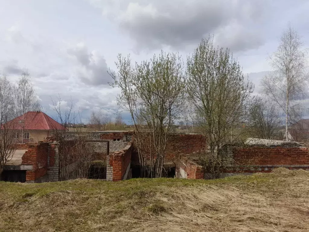 Участок в Владимирская область, Александров ул. Зимняя, 6 (24.0 сот.) - Фото 1