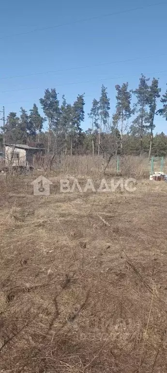 Участок в Воронежская область, Новоусманский район, ... - Фото 0