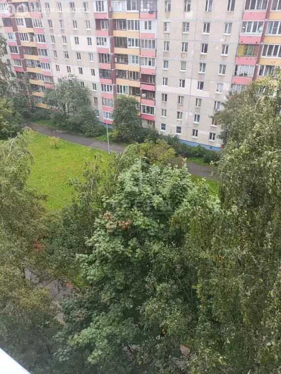 2-комнатная квартира: Санкт-Петербург, Купчинская улица, 24 (50.1 м) - Фото 1