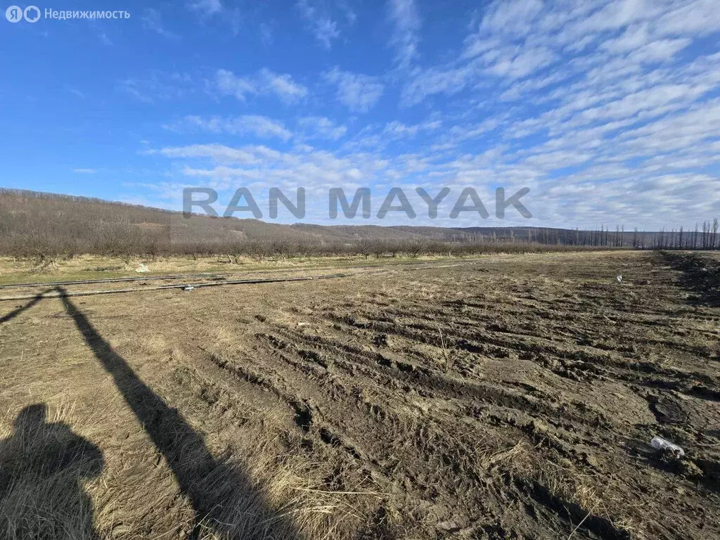 Участок в Майкопский район, Победенское сельское поселение, посёлок ... - Фото 2
