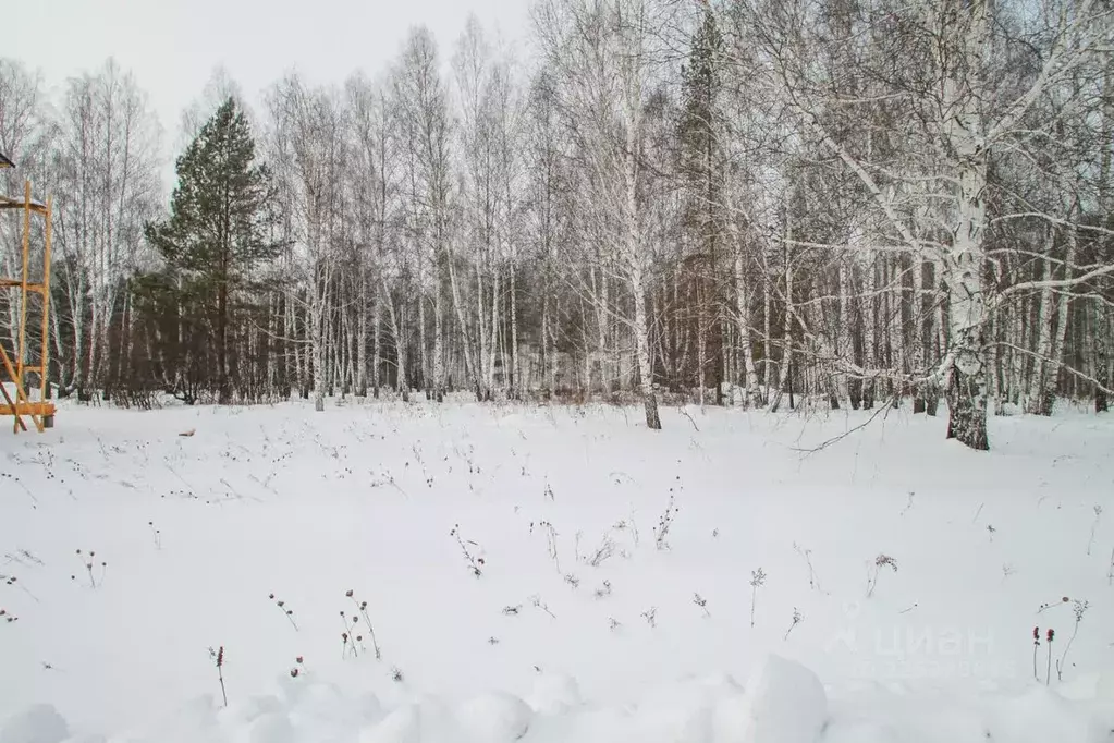 Участок в Свердловская область, Заречный муниципальный округ, с. ... - Фото 1