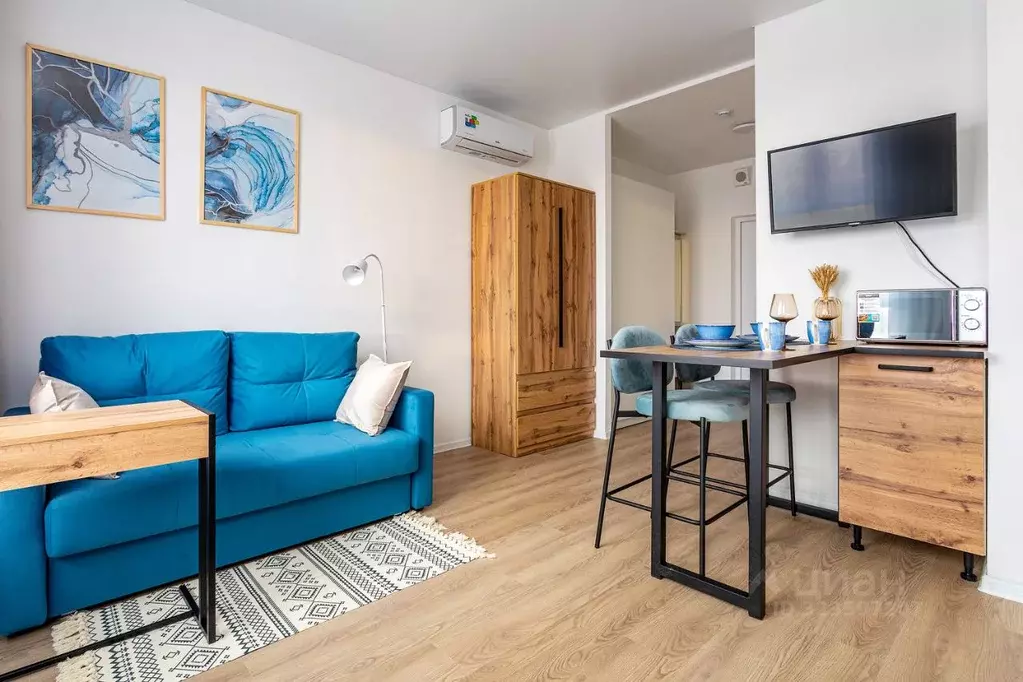 Студия Московская область, Домодедово городской округ, с. Ям ул. ... - Фото 2