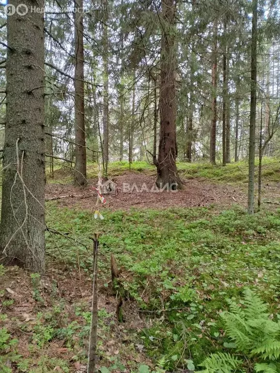 Участок в деревня Хийденсельга, Заречная улица (13 м) - Фото 1