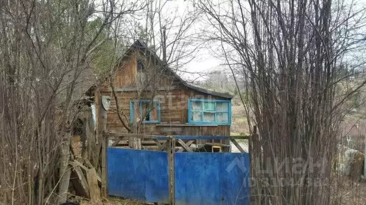 Участок в Томская область, Томский район, Богашевское с/пос, Елочка ... - Фото 1