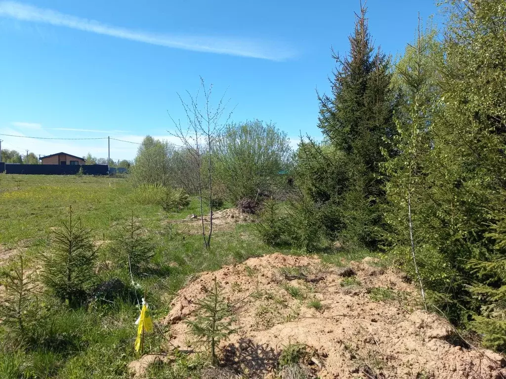 Участок в Московская область, Дмитровский муниципальный округ, пос. ... - Фото 2