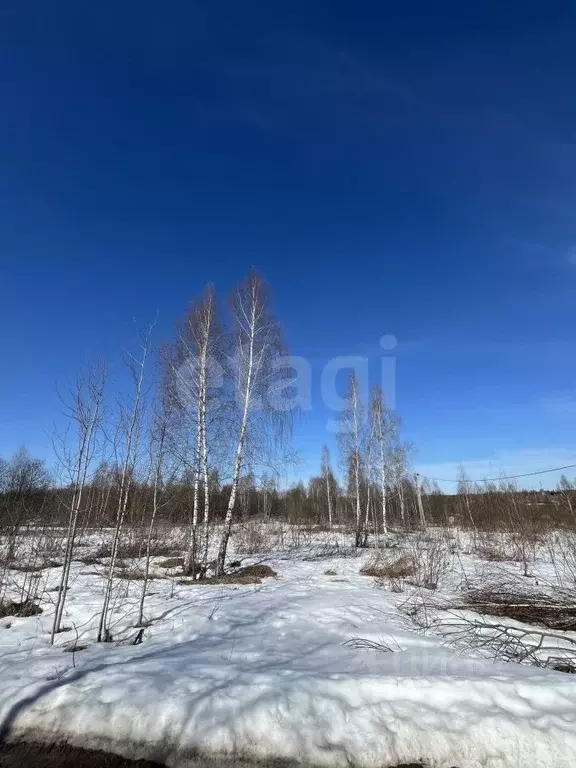 Участок в Калужская область, Козельск  (15.0 сот.) - Фото 1
