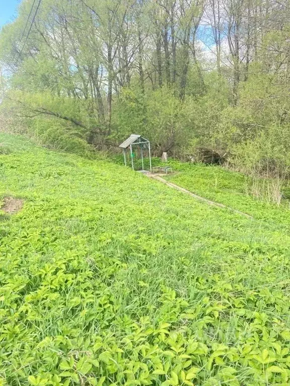 Участок в Московская область, Коломна городской округ, д. Чуркино  ... - Фото 2