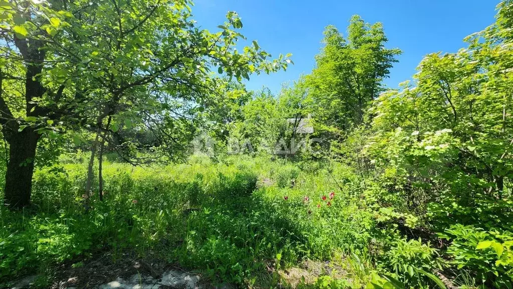 Участок 5 сот. (СНТ, ДНП) - Фото 1
