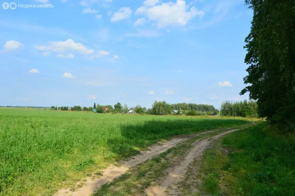 Участок в Кузнечихинское сельское поселение, село Пономарёво (15 м) - Фото 1